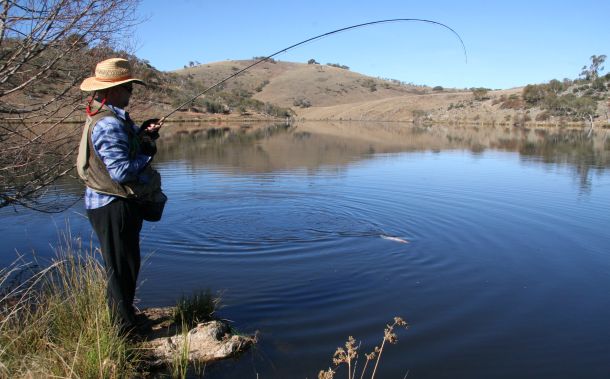 Pic: Mick Fletoridis